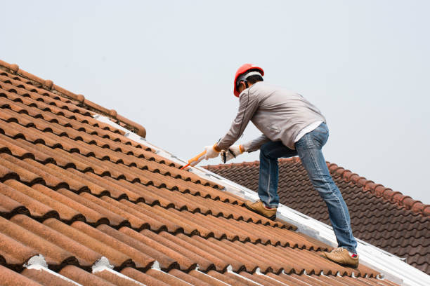 Best Roof Moss and Algae Removal  in Mount Joy, PA